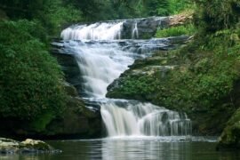 Sapiranga das rosas às cachoeiras com opções de esportes radicais Cachoeira em Sapiranga