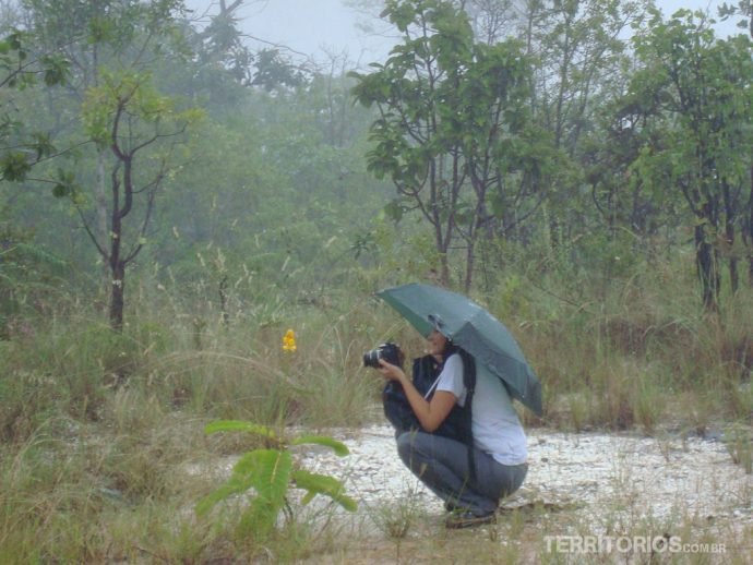 Fotografando detalhes da chuva