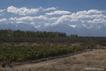 Visual de vinícola em Mendoza