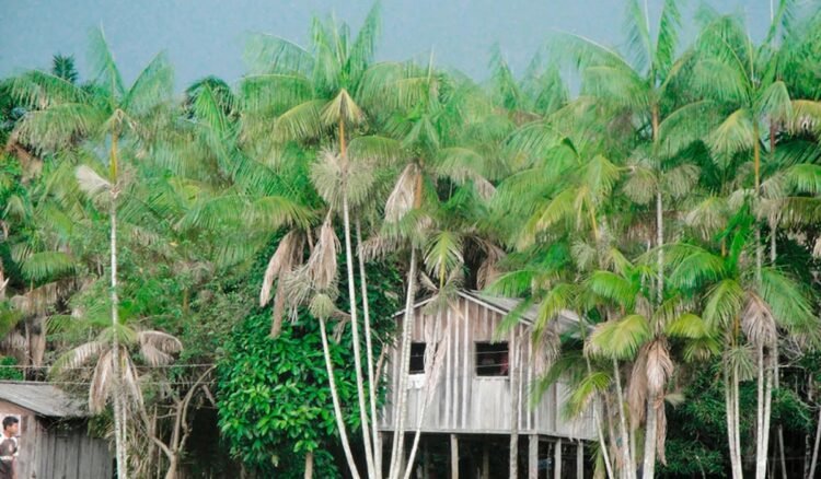 O lugar mais rico do planeta