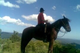 Gaucho a cavalo no texto morar em Gramado