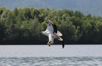Arquipélago Langkawi - Malásia