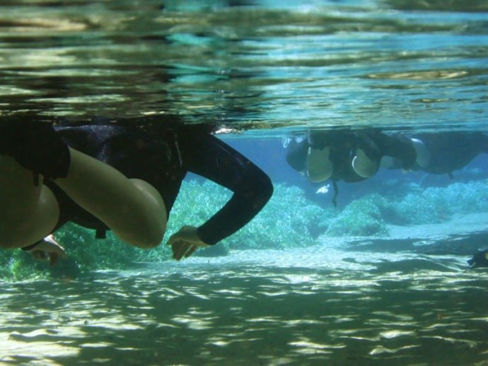 Mergulhando em águas transparentes no Rio da Prata, um paraíso sem igual