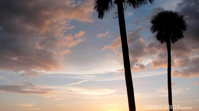 Árvores e pôr do sol típicos da Flórida
