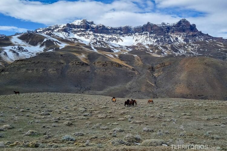 Caminho para o alto da Sierra Baguales com cavalos selvagens
