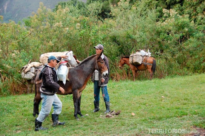 Mochilas levadas por burros
