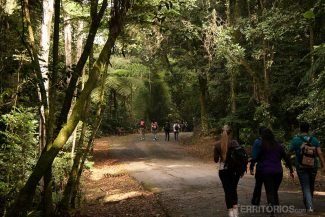 40 trilhas de São Paulo