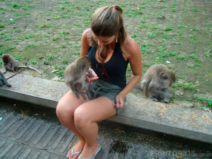 Interagindo com os macacos