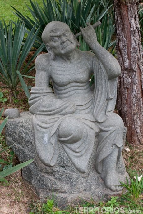 Buda idoso