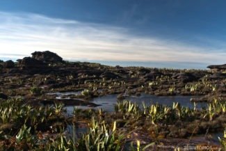 o topo do Monte Roraima