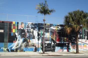 Wynwood