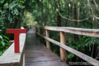 ospedagem em casas de palafita a 15 metros de altura