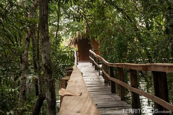 Juma Amazon Lodge hotel de selva