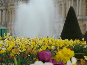 Primavera em Paris