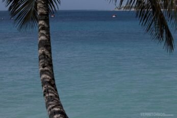 noites em Barbados