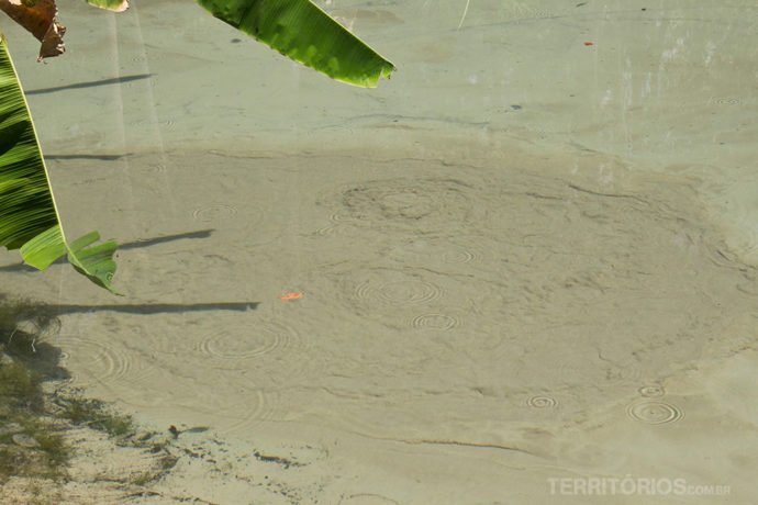 fervedouros do jalapão