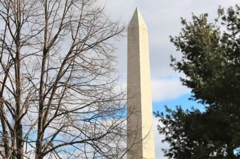 Washington D.C.