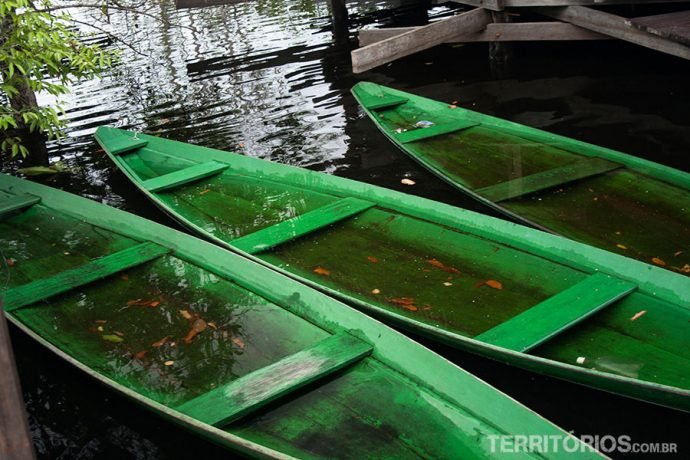 Canoas no Juma Amazon Lodge
