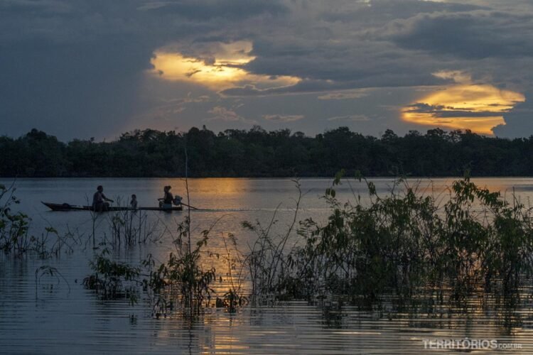 O que fazer na selva Amazônica