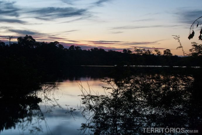 Anoitecer na selva amazônia