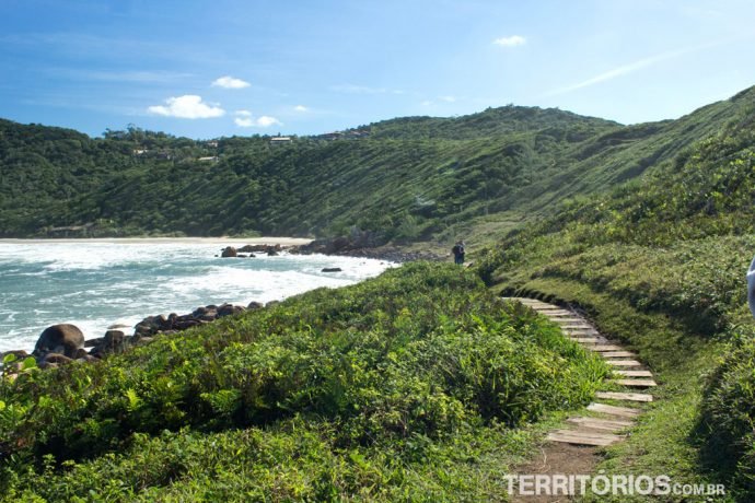 Trilha na Praia do Rosa canto Norte