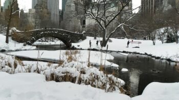 Central Park