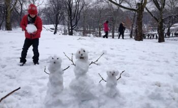 Brincadeiras no inverno em Nova York