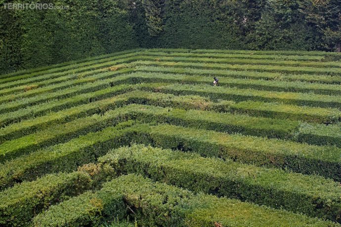 Labirinto na Itália
