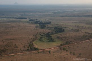 Vereda vista do alto no Estado do Tocantins