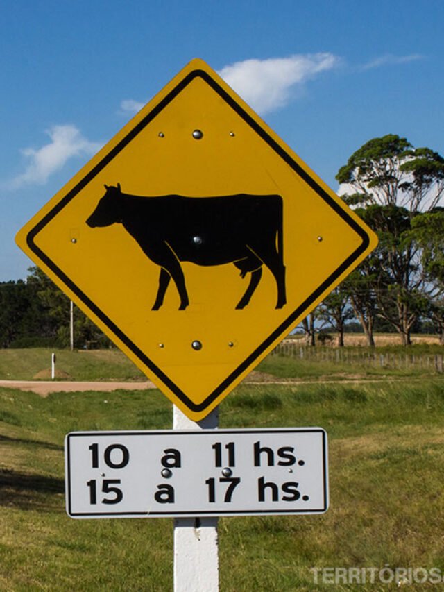 viagem de carro uruguai