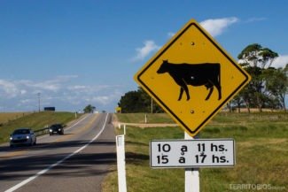 viagem de carro uruguai