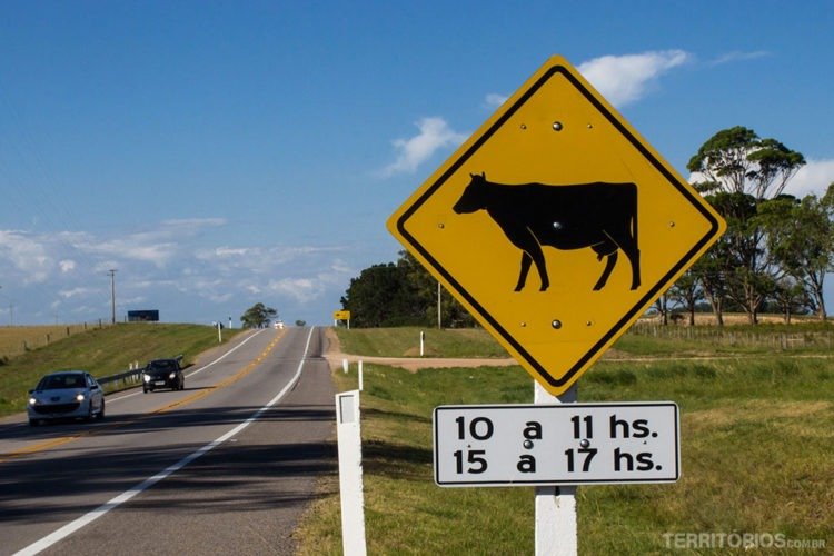viagem de carro uruguai