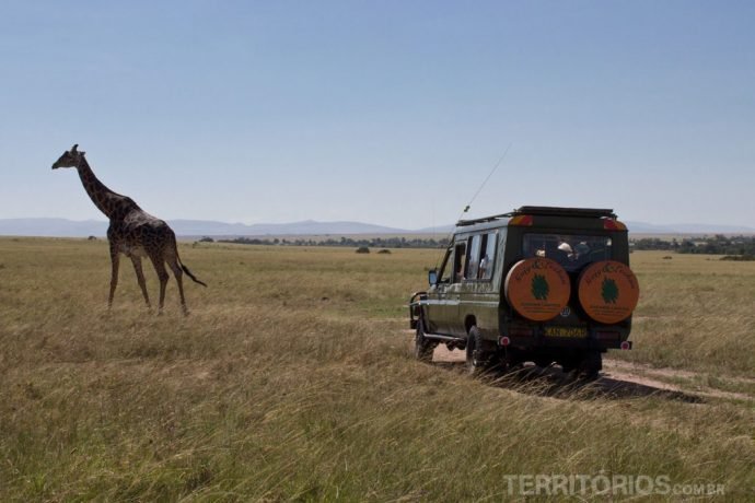 Veículo atrás da girafa em Maasai Mara