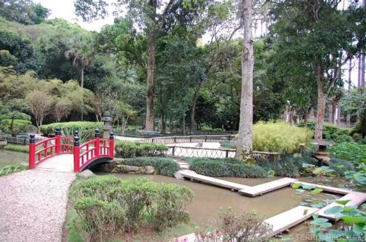 Lagos e caminhos no Jardim Botânico