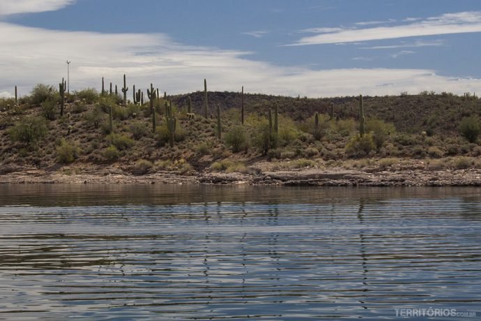 Vista do Deserto de Sonora no Lake Pleasant