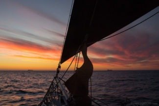 Passeio de barco em Cape Town - África do Sul