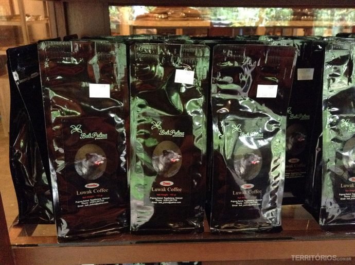 Luwak coffee embalado na loja
