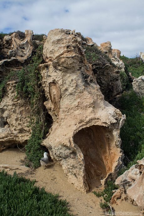 Formações rochosas de 10 mil anos