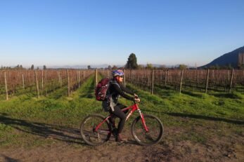 Bicicleta e vinho quente em Clos Apalta