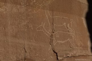 Arte rupestre na Quebrada de Quezala