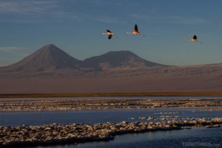 Lagoa Tebinquiche, parte do Salar de Atacama em San Pedro de Atacama - Chile