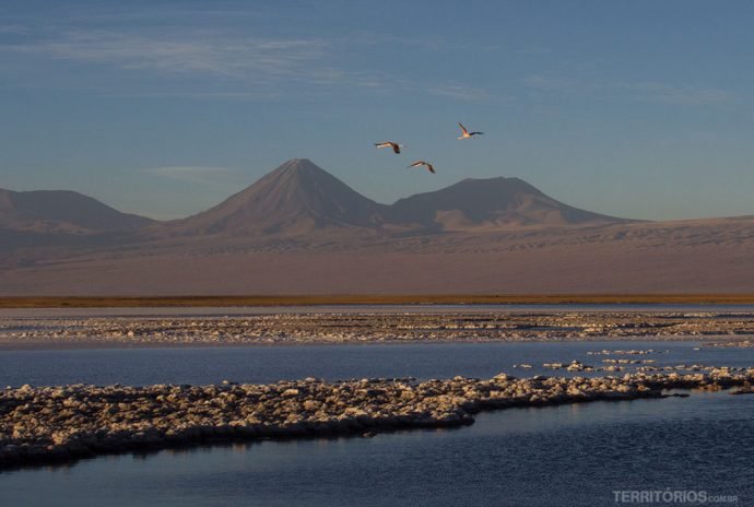 Flamingos e o pôr do sol complementam o visual dos vulcões Licancabur e Láscar