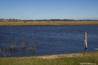 Riacho no Uruguai