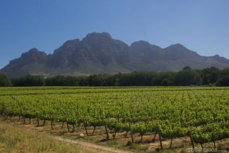 Stellenbosch
