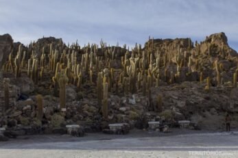 incahuasi, a ilha dos cactus Uyuni