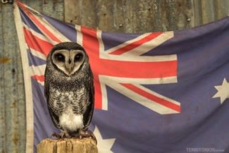 Perth zoo