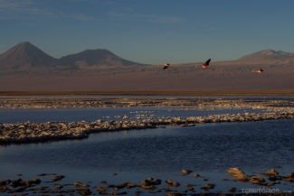 licancabur