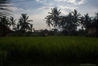 Transporte em Bali