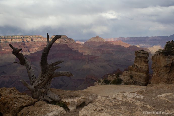 Dicas, paisagens e o lado histórico do Grand Canyon