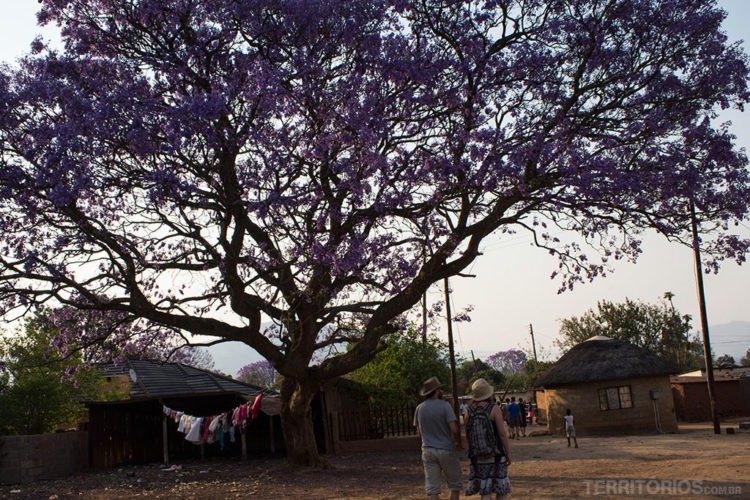 Melhores fotos da Suazilândia
